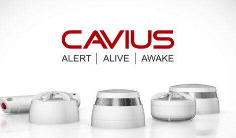 cavius