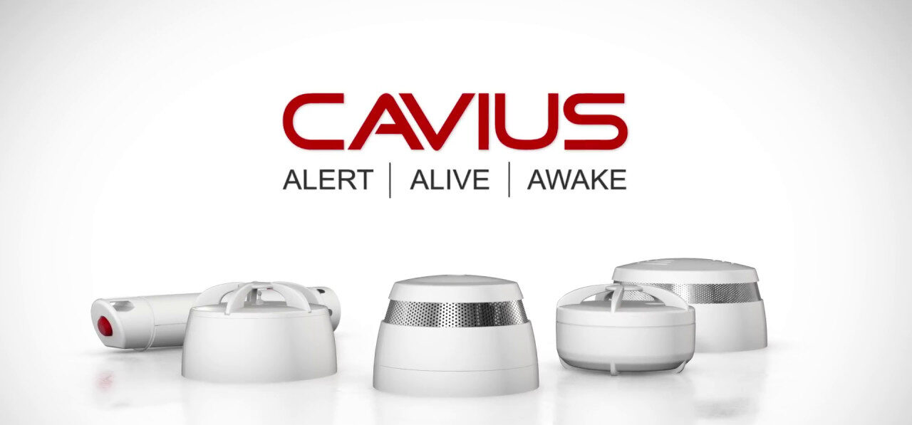 cavius